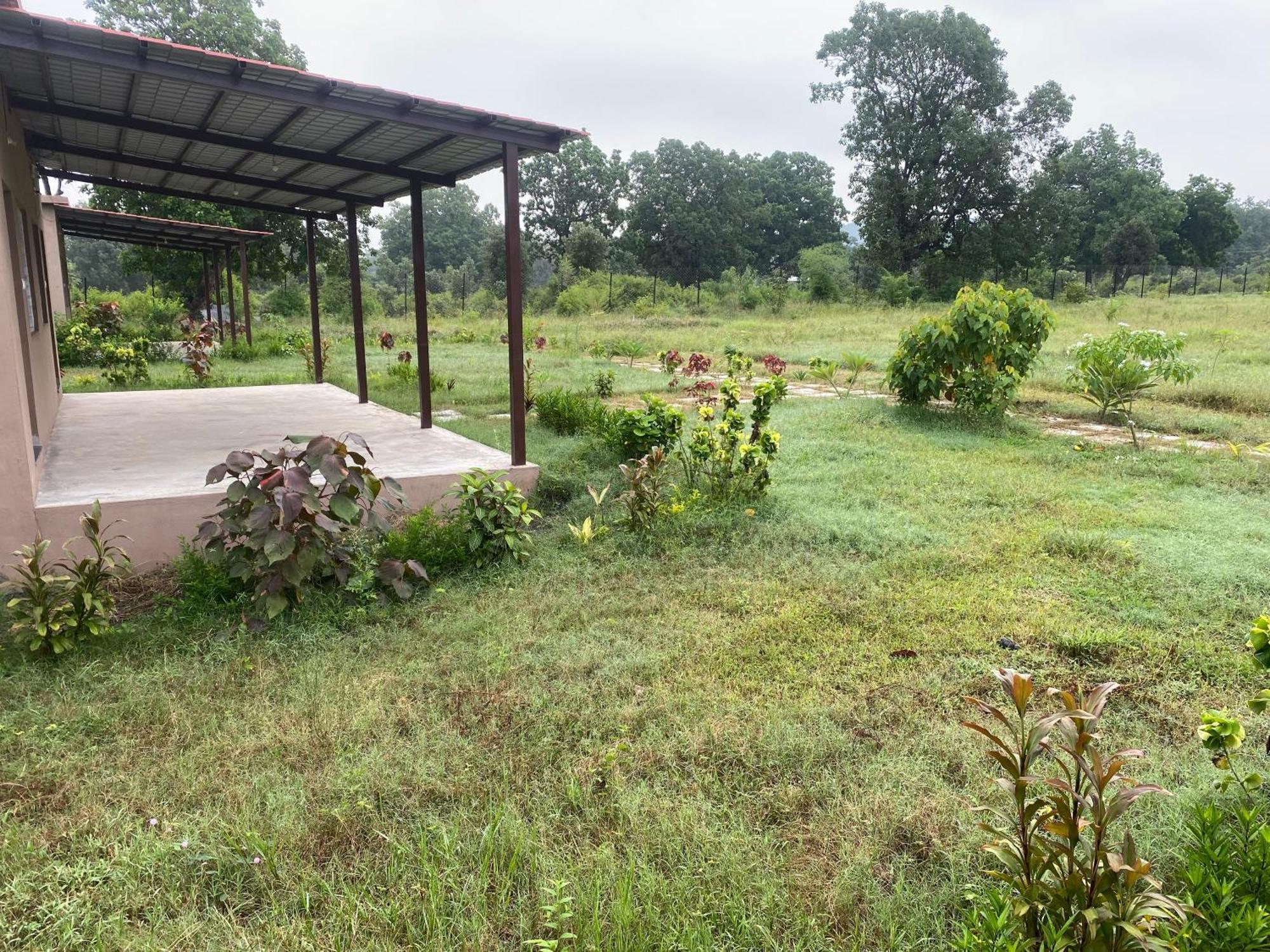 Wildlife Retreat Hotel Tala  Ngoại thất bức ảnh
